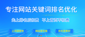揭秘seo优化给企业带来哪些流量？