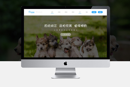 合肥网站建设